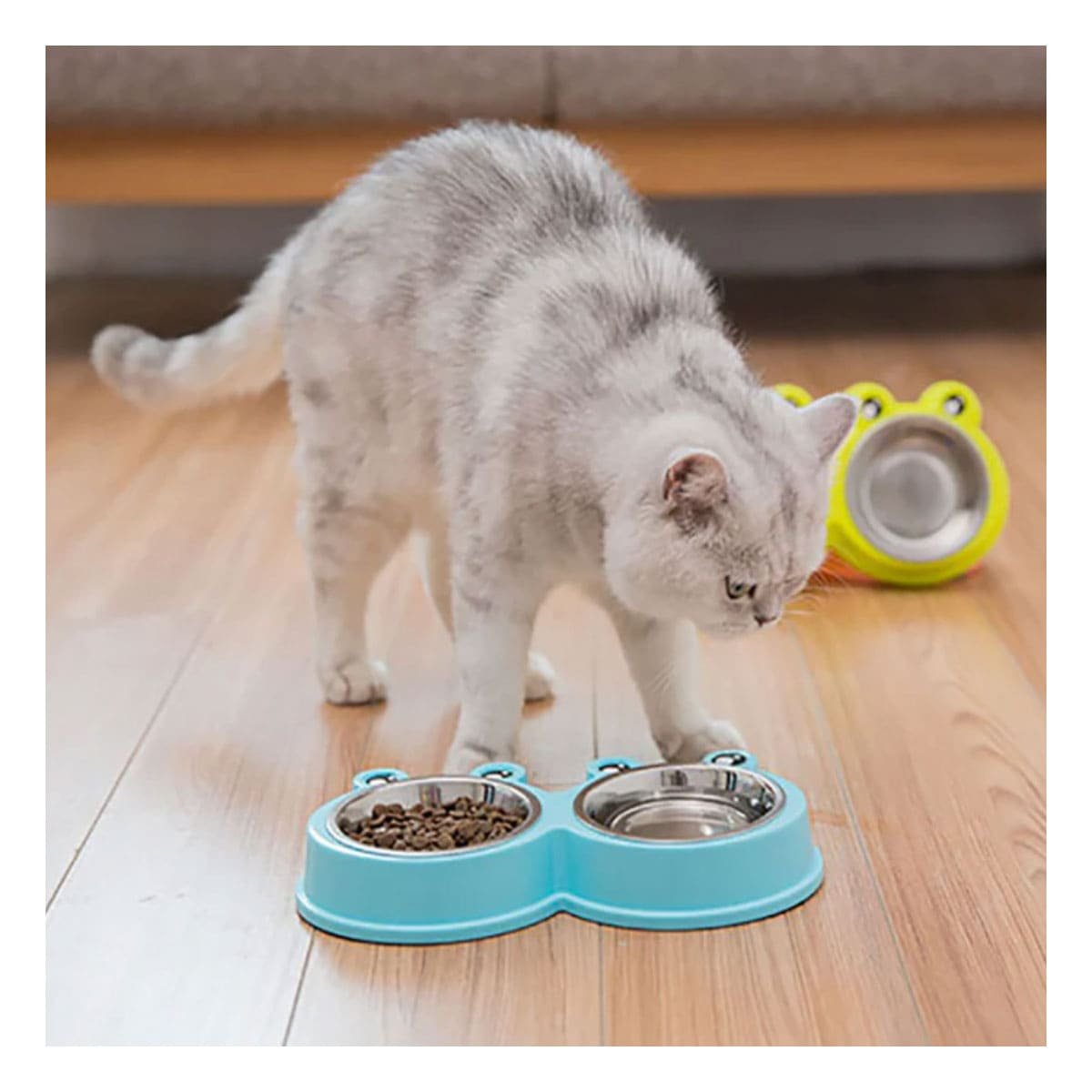 PACK12 JUEGO DOBLE DESMONTABLE RANA PARA PERRO Y GATO EN HOGAR Y+PAPEL REGALO - 3