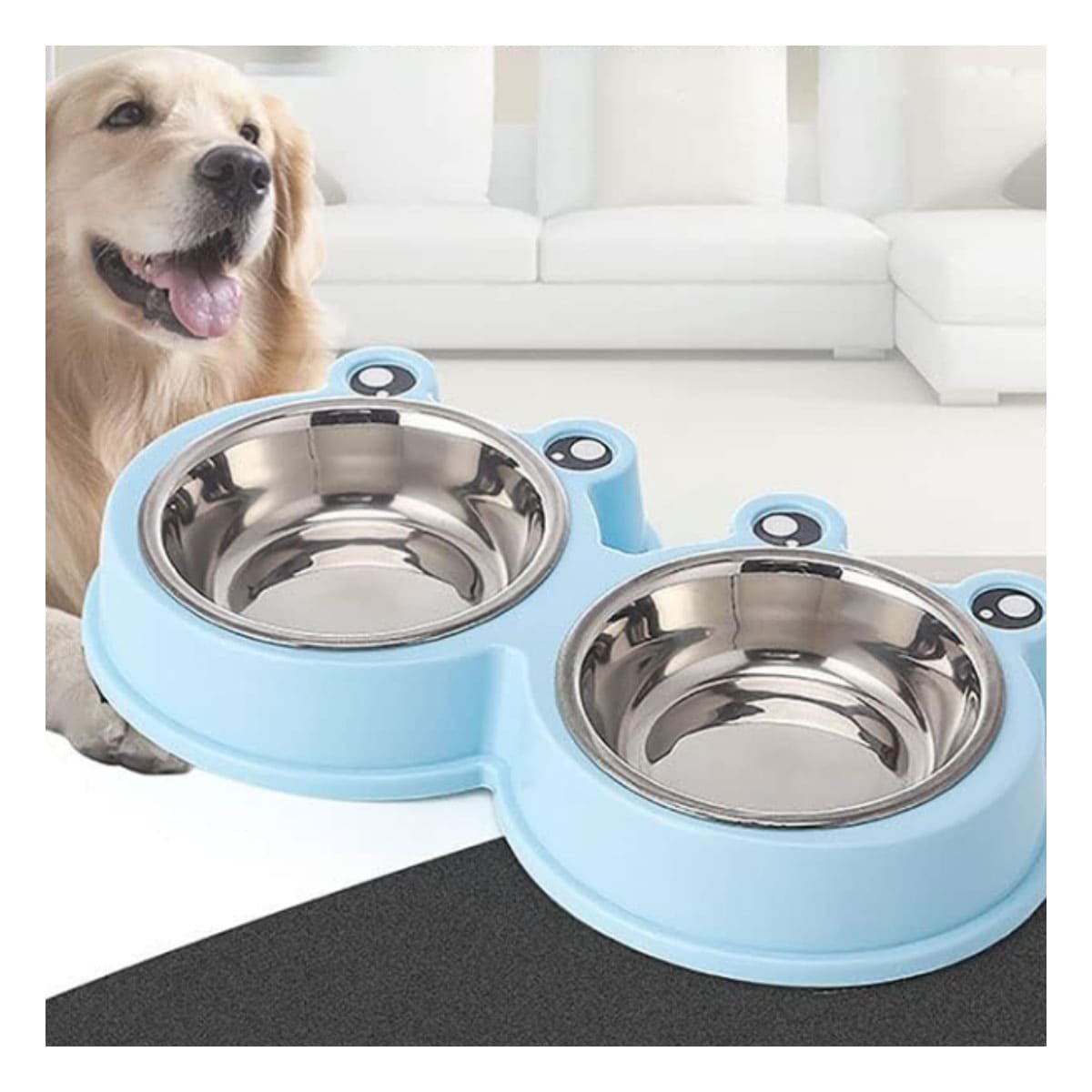 PACK2 COMPLEMENTO DOBLE DESMONTABLE RANA PARA PERRO Y GATO FUNCIONAL - 2
