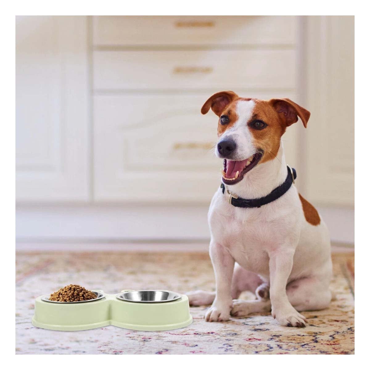 JUEGO PLATO DOBLE DESMONTABLE RANA PARA PERRO Y GATO EN HOGAR Y+LIGAS REGALO - 2