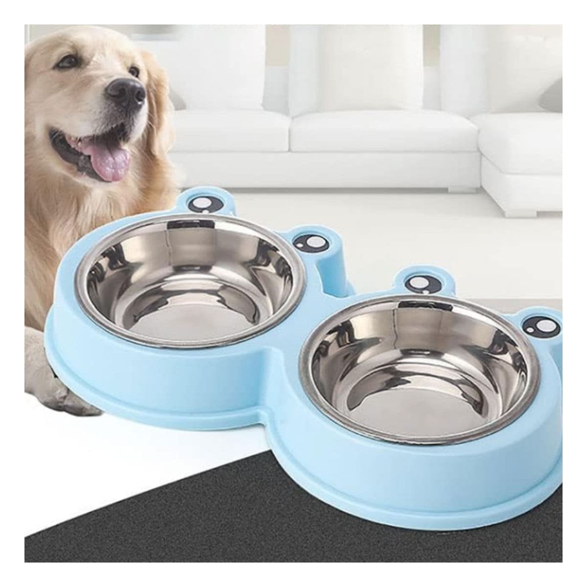 PACK6 SISTEMA DOBLE DESMONTABLE RANA PARA PERRO Y GATO FUNCIONAL - 2