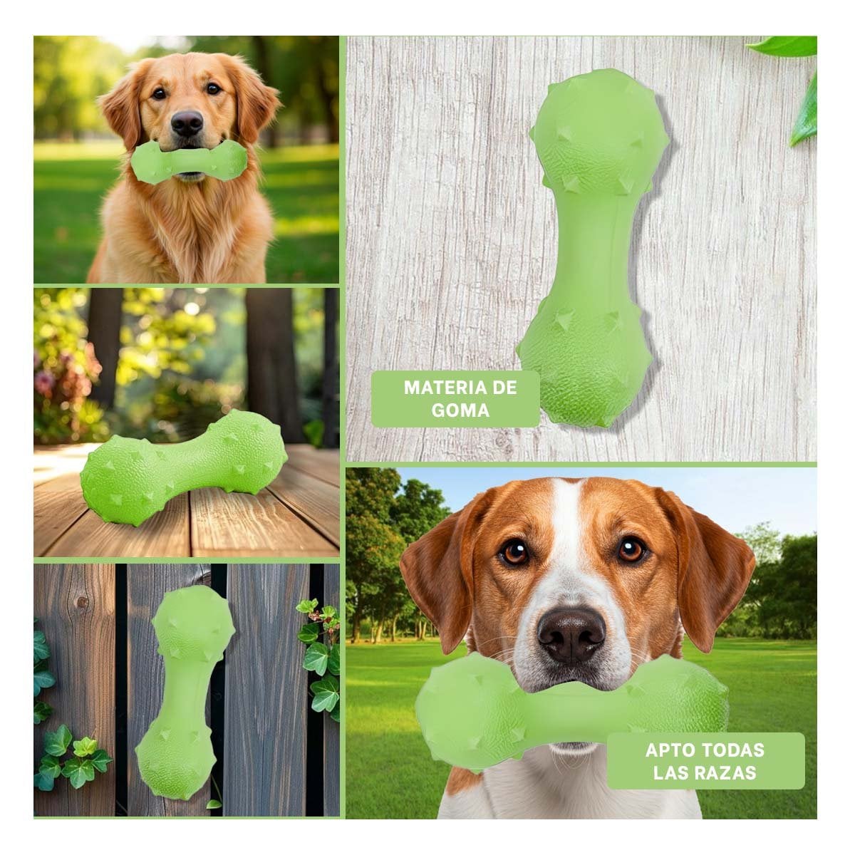OBJETO MANCUERNA DE MINI RAYAS ROJO PARA PERRO CON TEXTURA Y+POST IT - 1