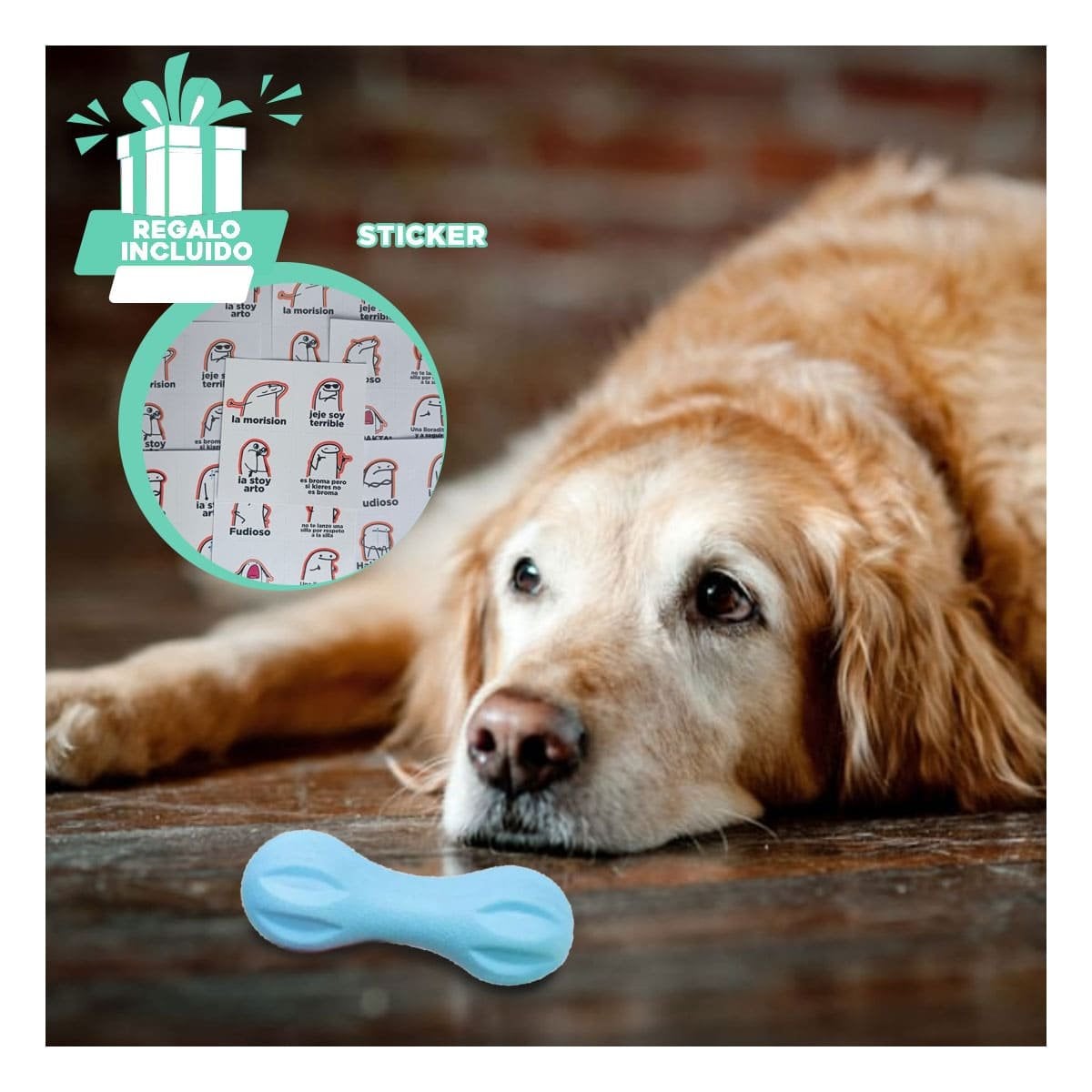 PRODUCTO MANCUERNA DE MINI RAYAS VERDE MENTA PARA PERRO HOGAR Y+REGALO STICKER - 1