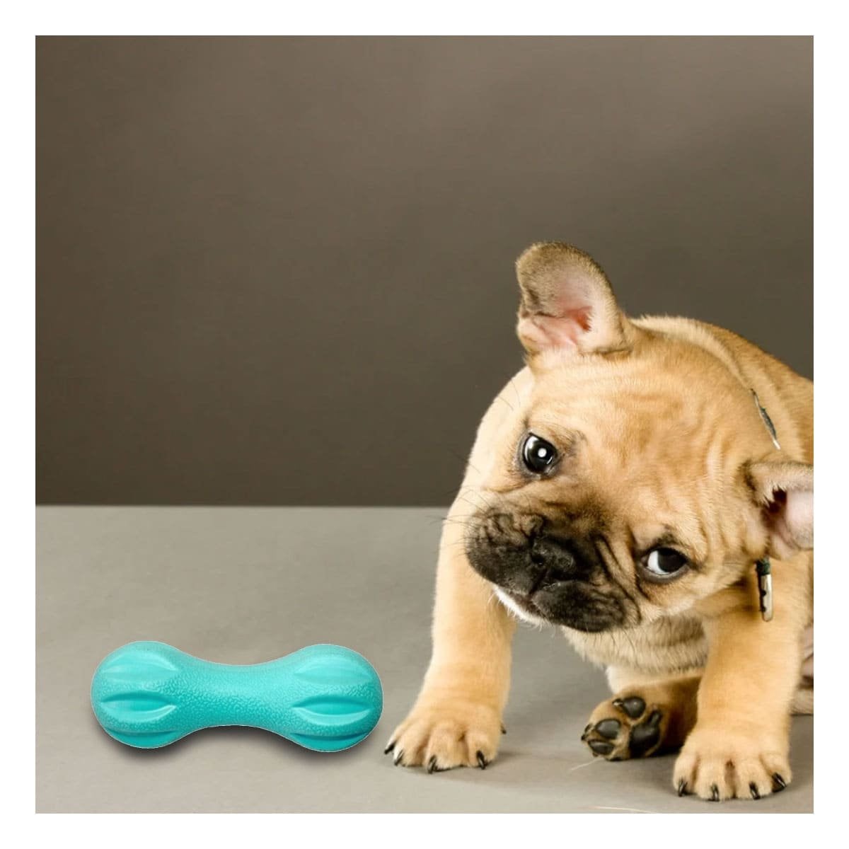 PRODUCTO MANCUERNA DE MINI RAYAS VERDE MENTA PARA PERRO HOGAR Y+REGALO STICKER - 5