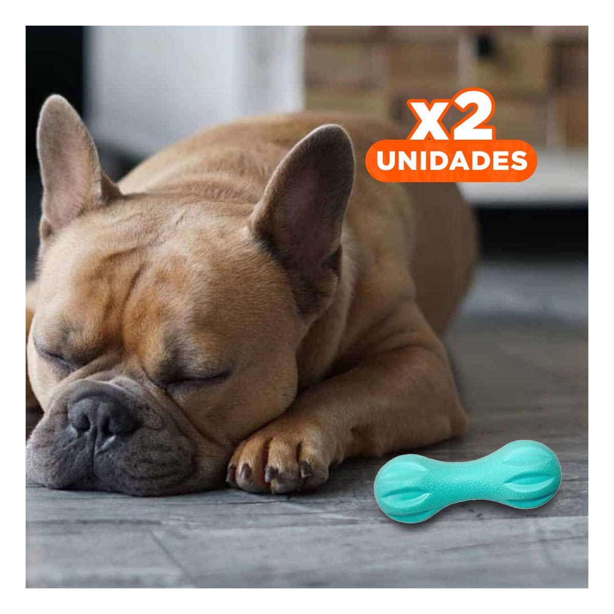 PACK2 ACCESORIO PARA MASCOTA MANCUERNA DE MINI RAYAS VERDE MENTA RESISTENTE Y+REGALO STICKER - 1