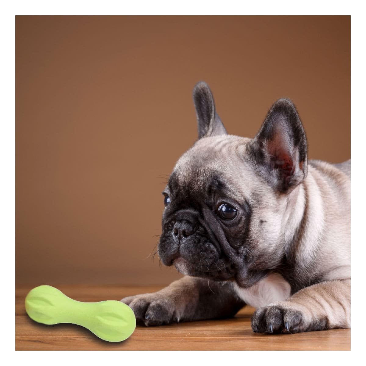 ELEMENTO MANCUERNA DE MINI RAYAS VERDE MENTA PARA MASCOTA ACTIVA Y+PAPEL REGALO - 3