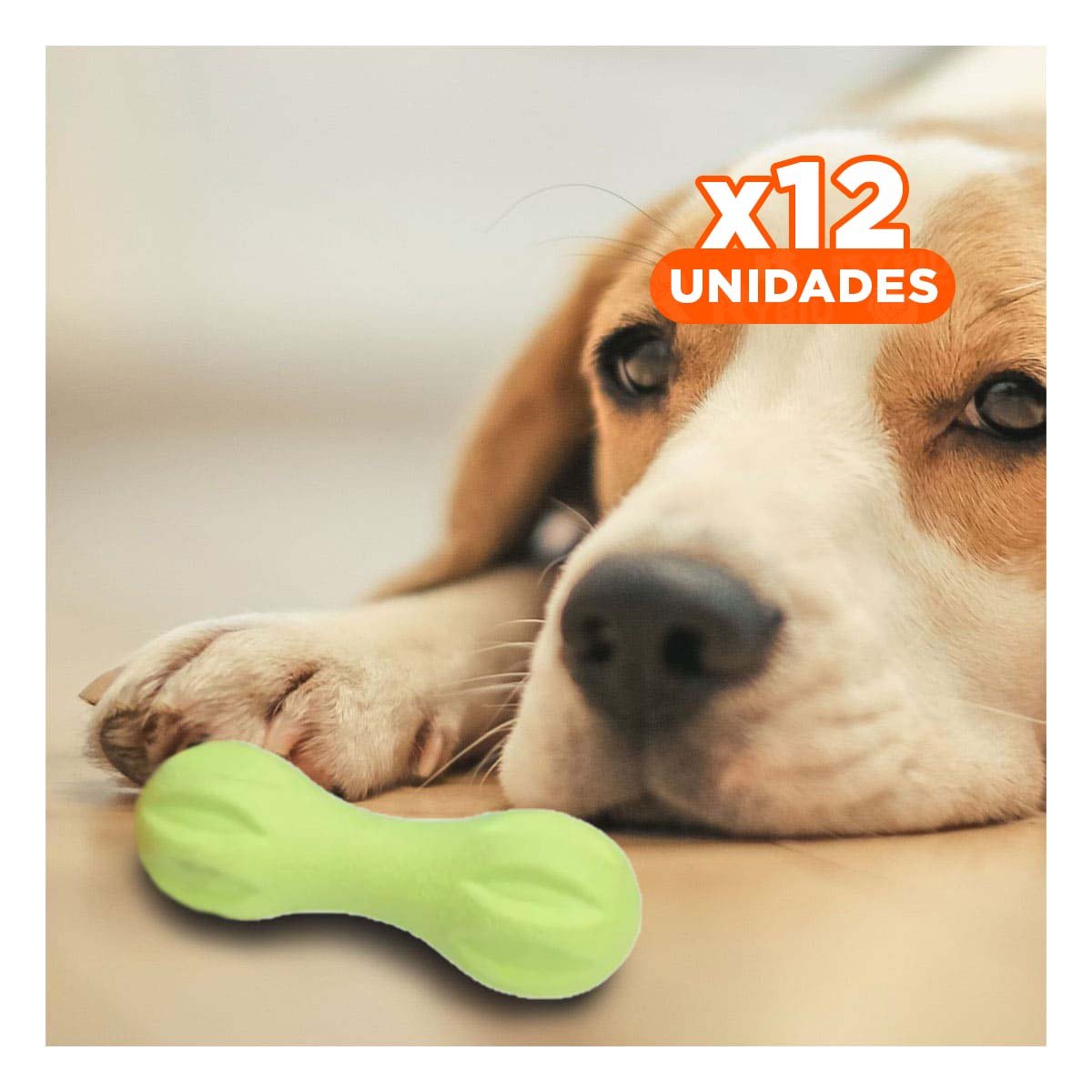 PACK12 PIEZA PARA PERRO MANCUERNA DE MINI RAYAS VERDE MENTA DURADERA - 1