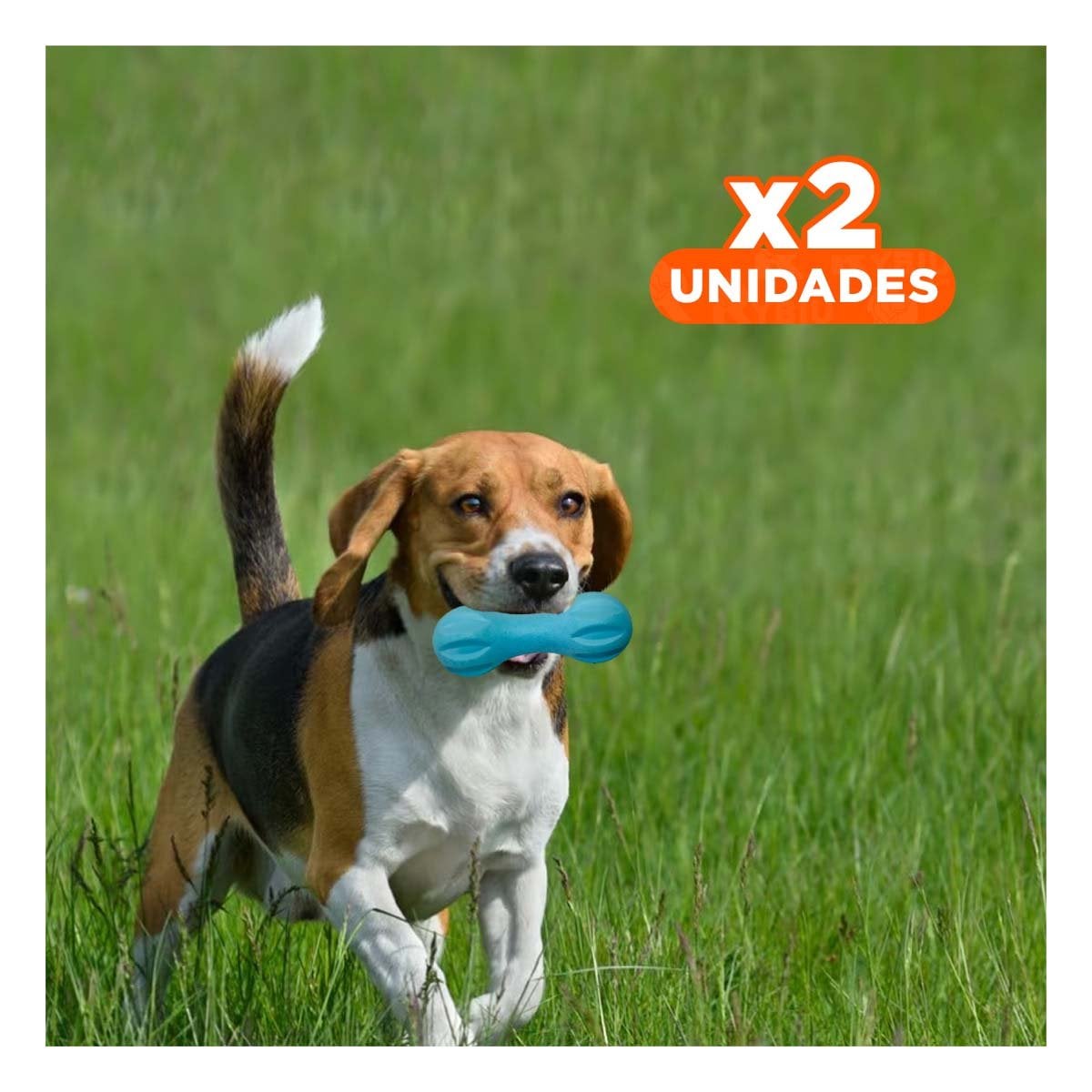 PACK2 ACCESORIO PARA MASCOTA MANCUERNA DE MINI RAYAS CELESTE RESISTENTE Y+REGALO STICKER - 1