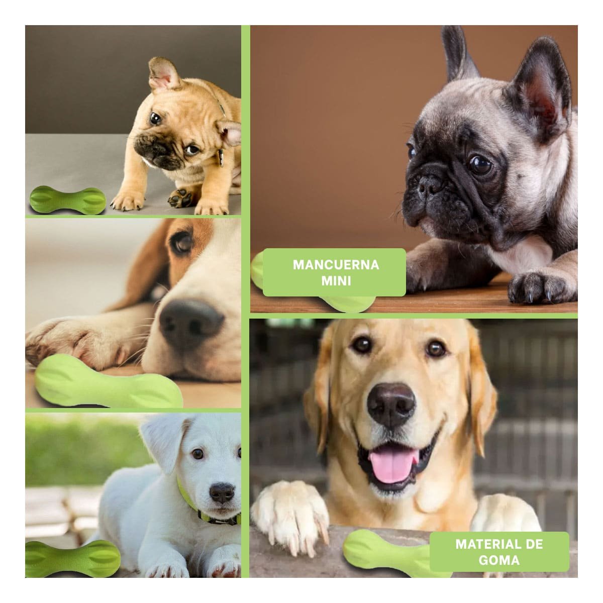 PACK2 OBJETO TEXTURIZADO MANCUERNA DE MINI RAYAS VERDE MENTA MASCOTA Y+PAPEL REGALO - 3
