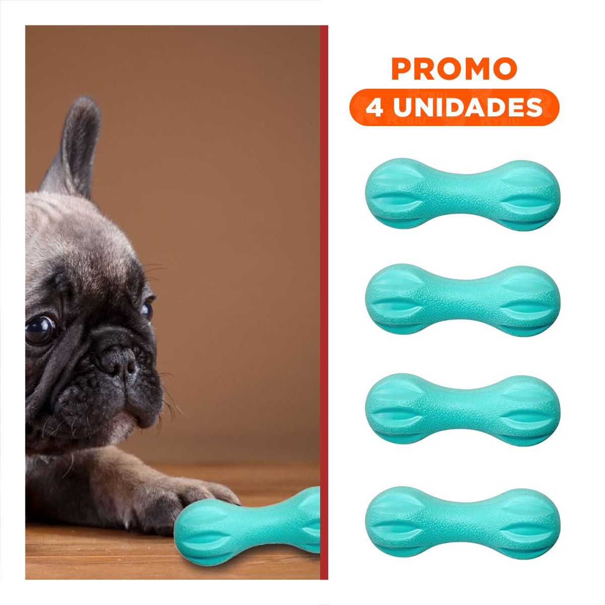 PACK4 ARTICULO PARA PERRO MANCUERNA DE MINI RAYAS VERDE MENTA ACTIVO Y+REGALO STICKER - 1