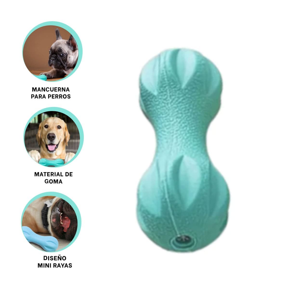 PELOTA MANCUERNA DE MINI RAYAS VERDE MENTA PARA PERRO JUGUETON - 3