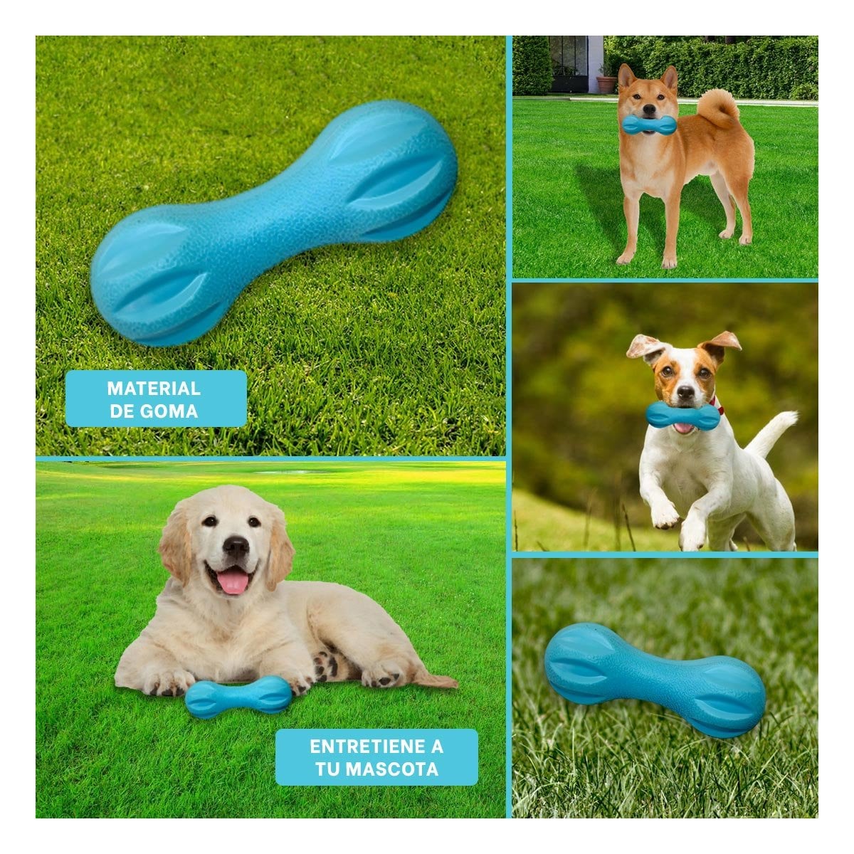 PACK2 OBJETO TEXTURIZADO MANCUERNA DE MINI RAYAS CELESTE PARA MASCOTA Y+PAPEL REGALO - 3