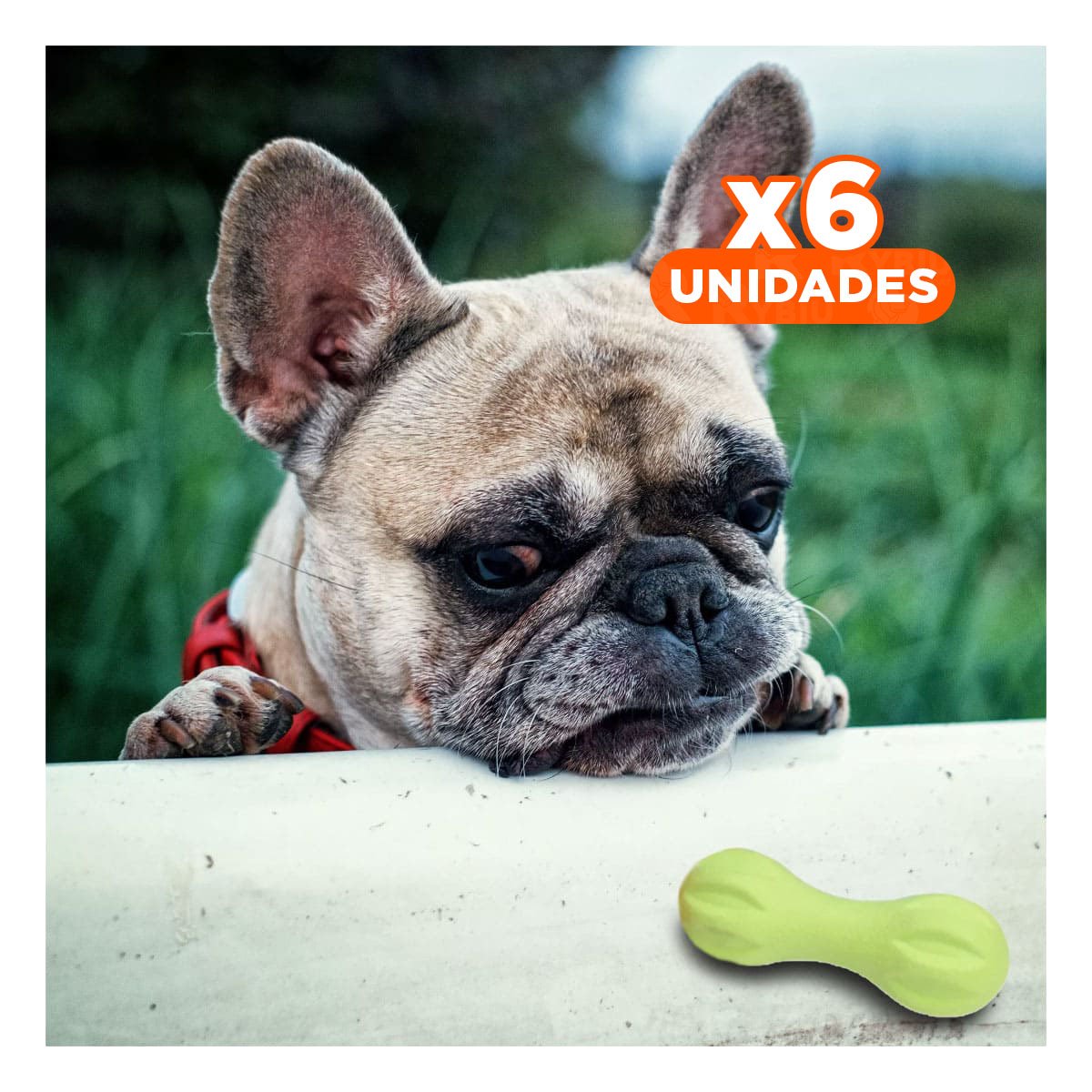 PACK6 PRODUCTO PARA MASCOTA MANCUERNA DE MINI RAYAS VERDE MENTA FUERTE Y+REGALO STICKER - 1