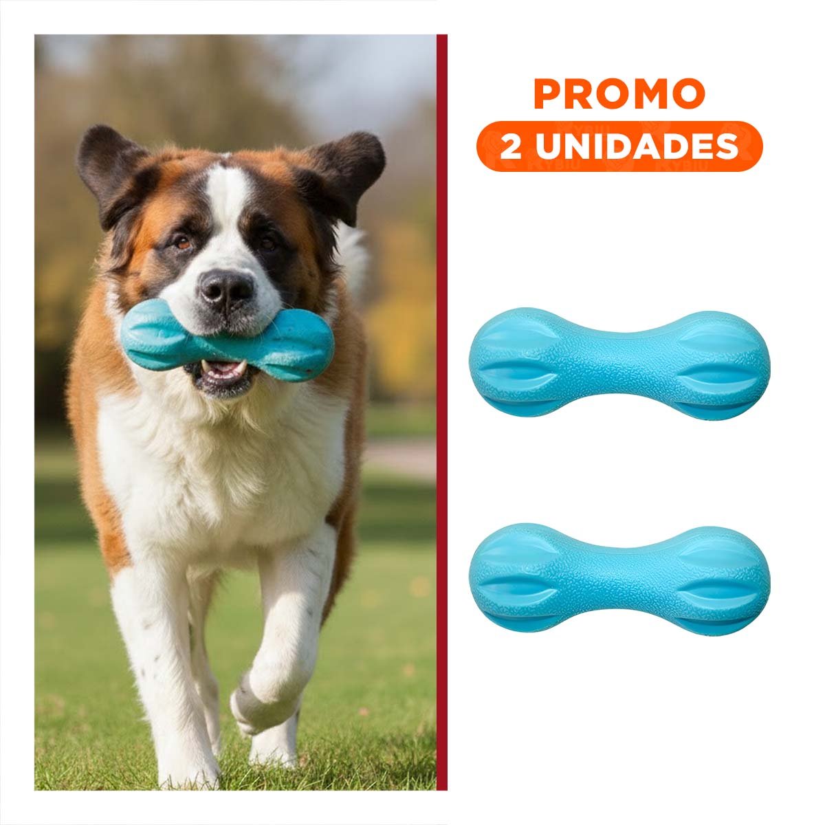PACK2 PIEZA TEXTURIZADA MANCUERNA DE MINI RAYAS CELESTE PARA PERRO ACTIVO - 1