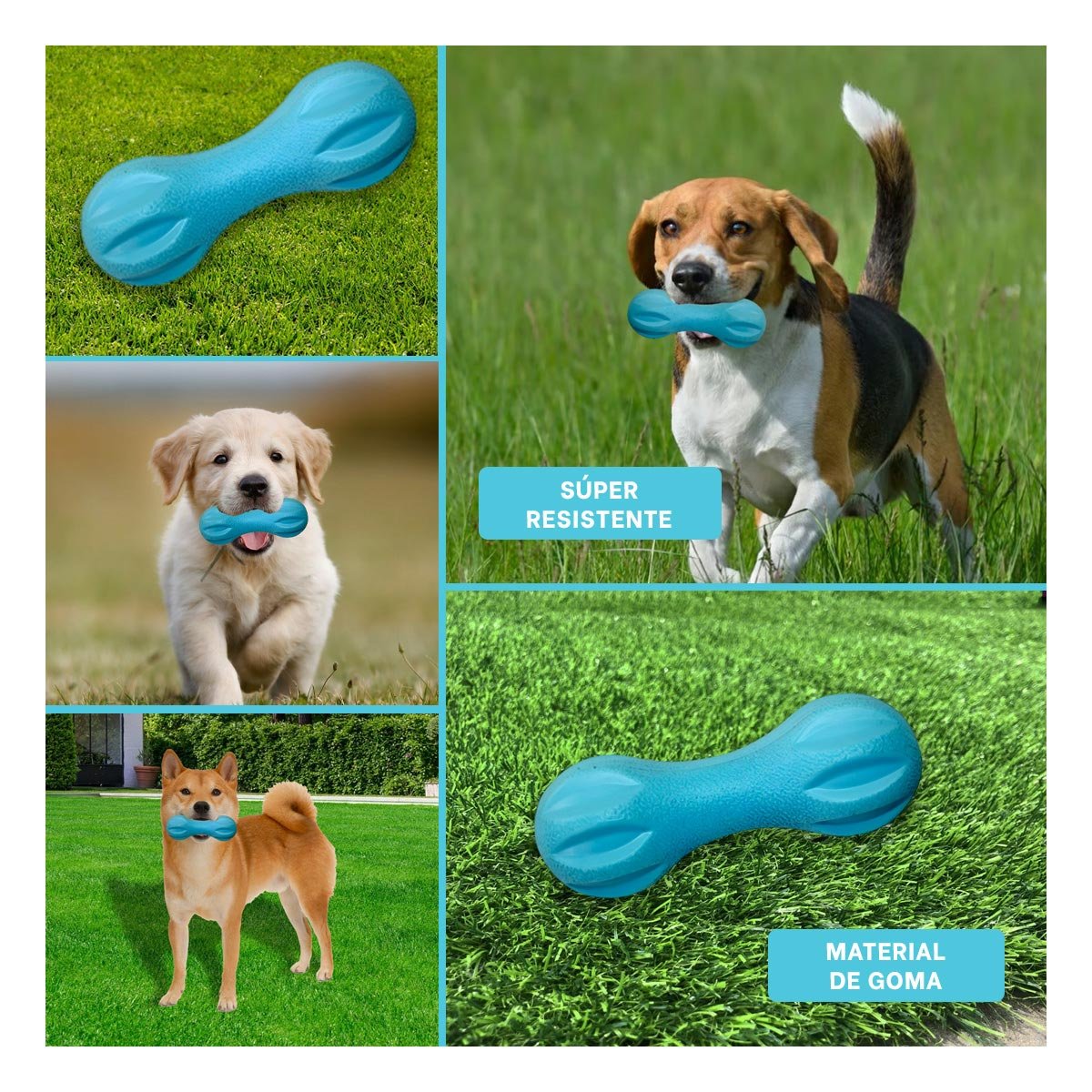 OBJETO MANCUERNA DE MINI RAYAS CELESTE PARA PERRO CON RELIEVE Y+POST IT - 5