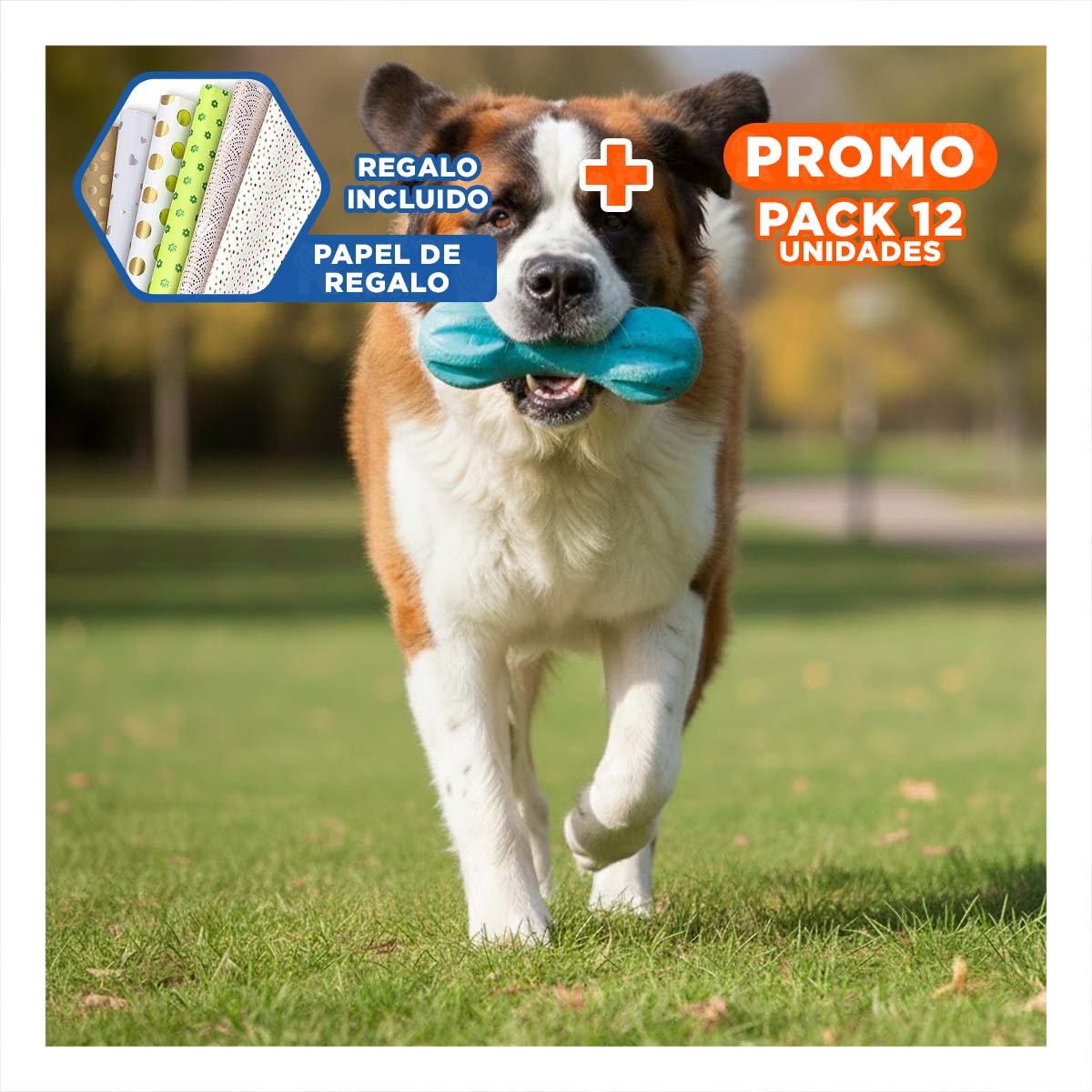 PACK12 OBJETO PARA MASCOTA MANCUERNA DE MINI RAYAS CELESTE SEGURO Y+PAPEL REGALO - 1