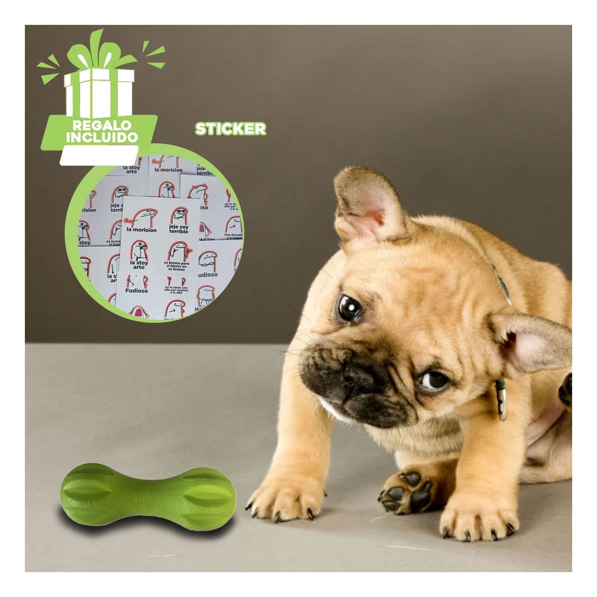PRODUCTO MANCUERNA DE MINI RAYAS VERDE MENTA PARA PERRO HOGAR Y+REGALO STICKER - 1