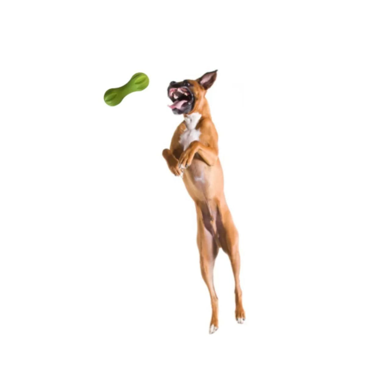 PRODUCTO MANCUERNA DE MINI RAYAS VERDE MENTA PARA PERRO HOGAR Y+REGALO STICKER - 3