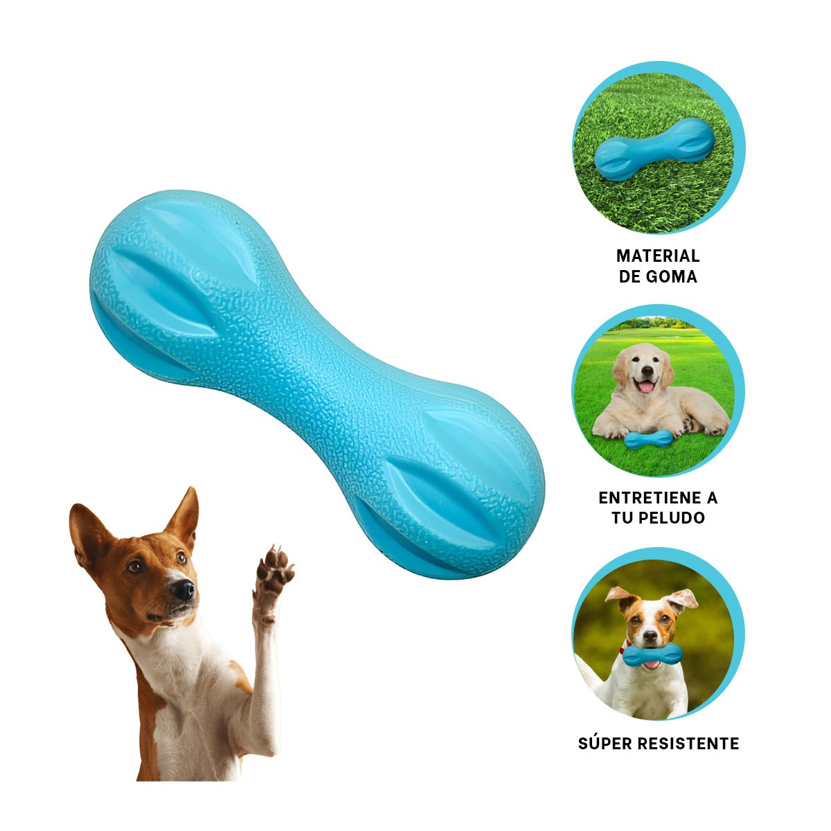 PELOTA MANCUERNA DE MINI RAYAS CELESTE PARA PERRO JUGUETON Y ACTIVO - 3