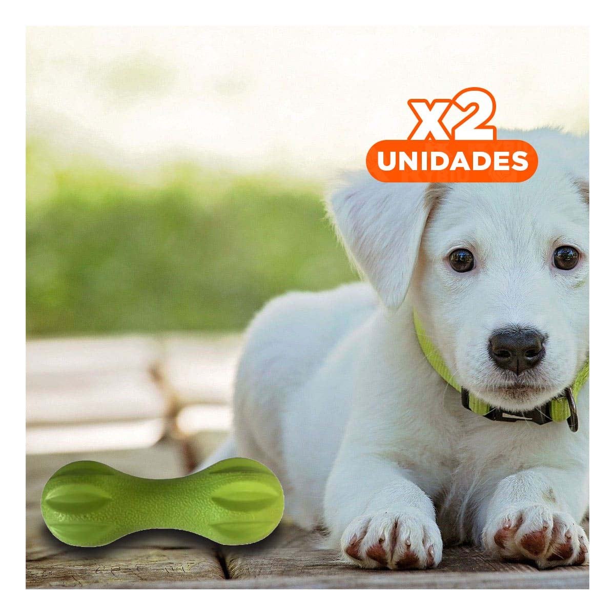 PACK2 ACCESORIO PARA MASCOTA MANCUERNA DE MINI RAYAS VERDE MENTA RESISTENTE Y+REGALO STICKER - 1