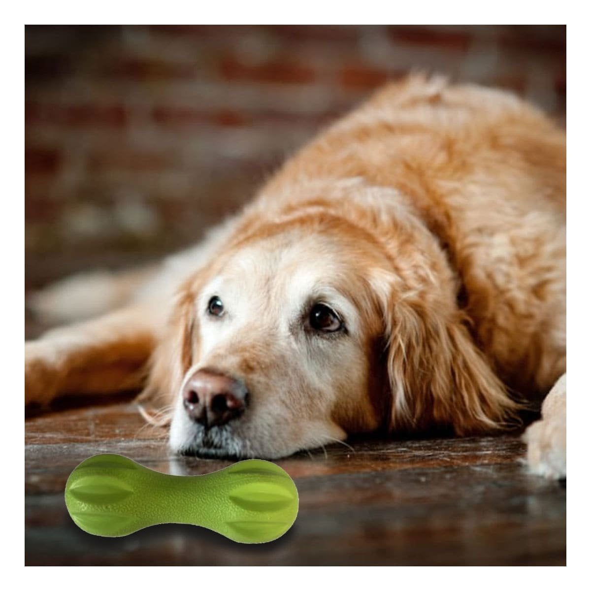 PACK2 ACCESORIO PARA MASCOTA MANCUERNA DE MINI RAYAS VERDE MENTA RESISTENTE Y+REGALO STICKER - 3