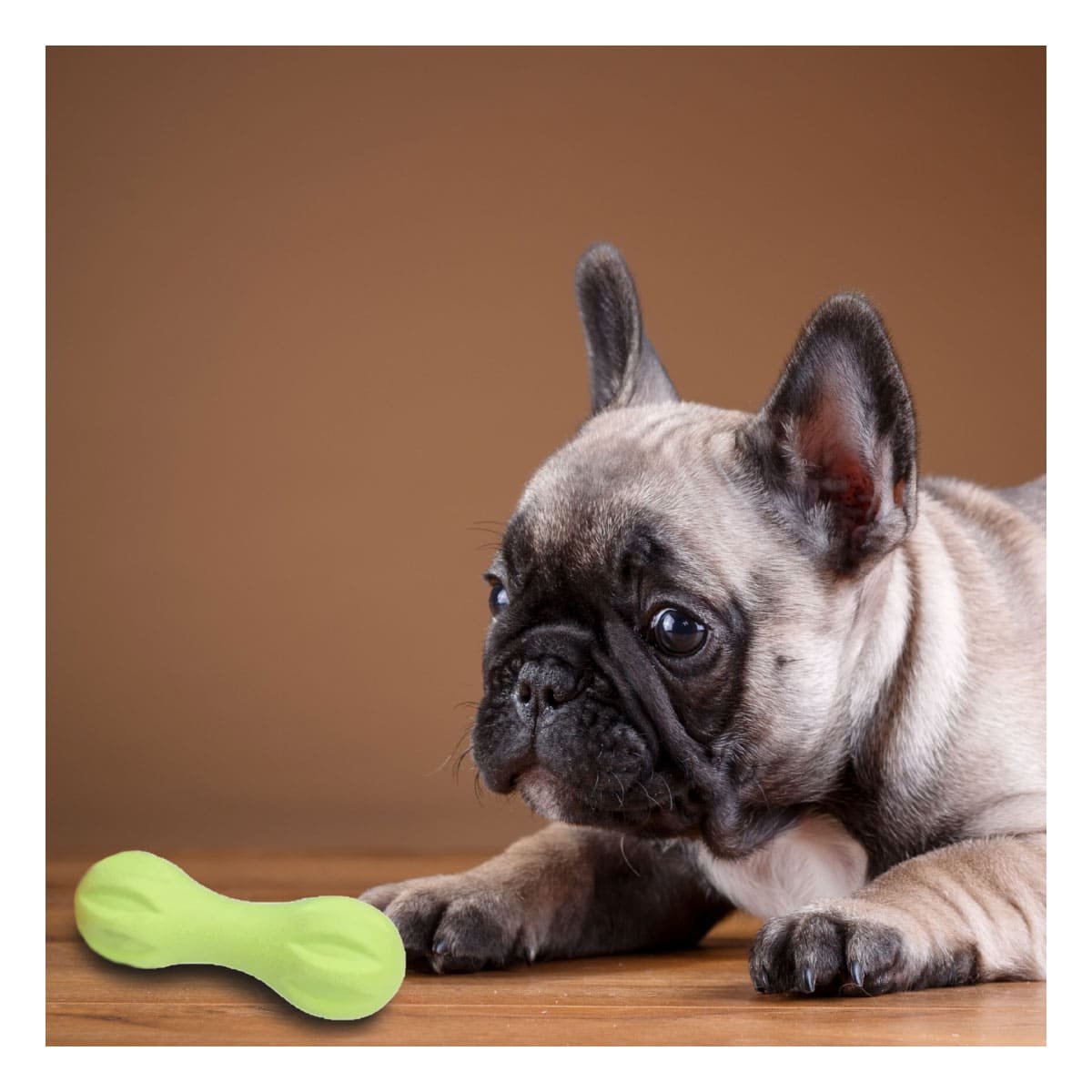 PACK2 ACCESORIO PARA MASCOTA MANCUERNA DE MINI RAYAS VERDE MENTA RESISTENTE Y+REGALO STICKER - 5