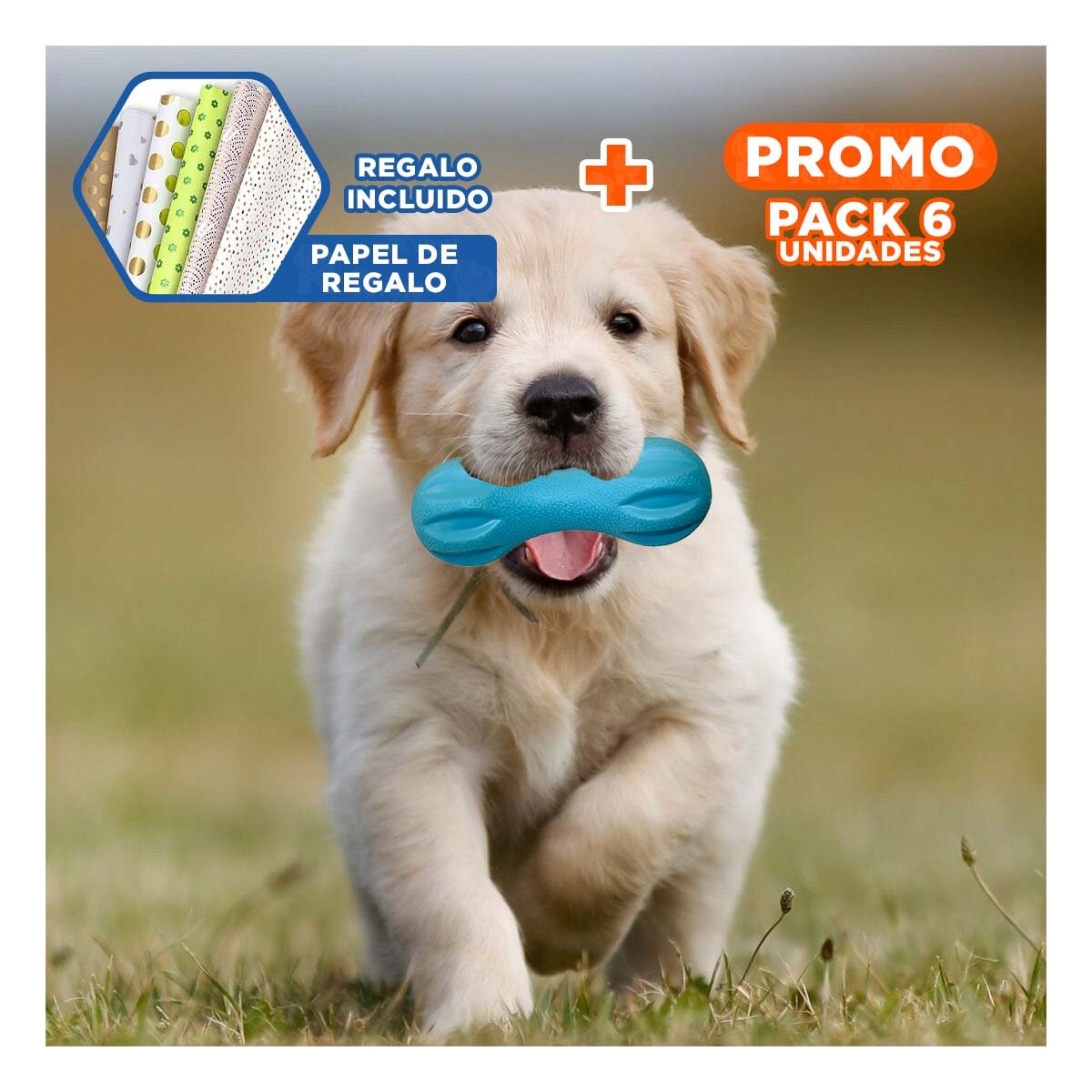 PACK6 ELEMENTO PARA PERRO MANCUERNA DE MINI RAYAS CELESTE TEXTURIZADO Y+PAPEL REGALO - 1