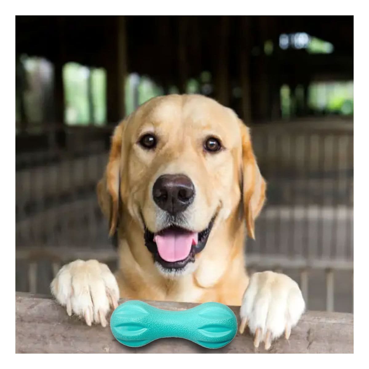 PACK12 PIEZA PARA PERRO MANCUERNA DE MINI RAYAS VERDE MENTA DURADERA - 5