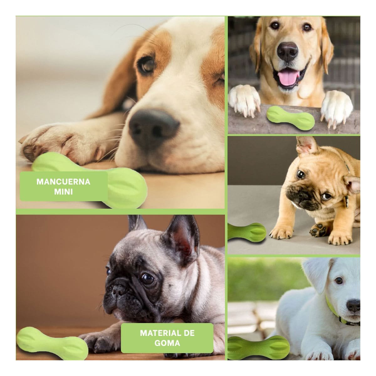 OBJETO MANCUERNA DE MINI RAYAS VERDE MENTA PARA PERRO TEXTURIZADO Y+POST IT - 5