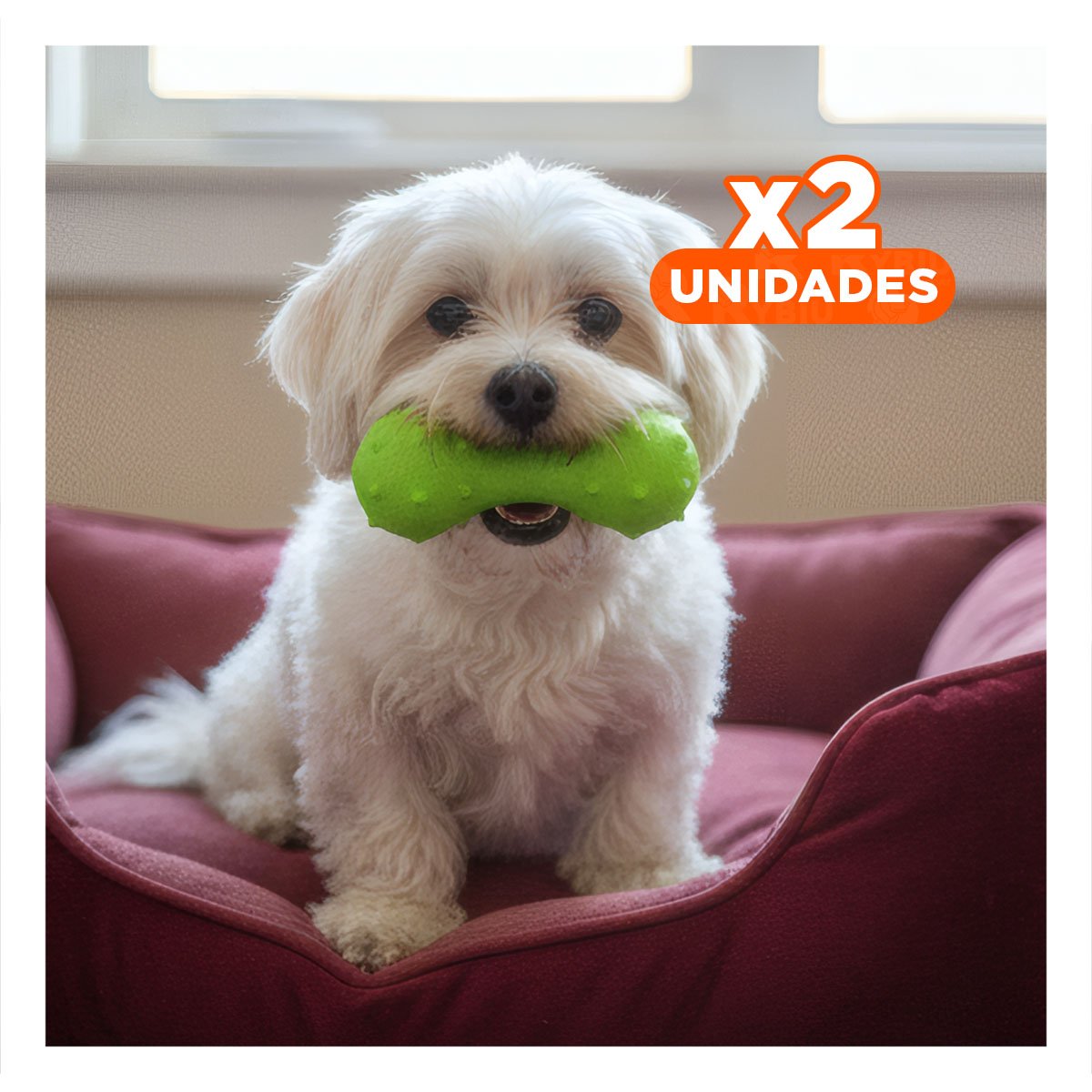 PACK2 ACCESORIO PARA MASCOTA MANCUERNA DE MINI RAYAS ROJO RESISTENTE Y+REGALO STICKER - 1