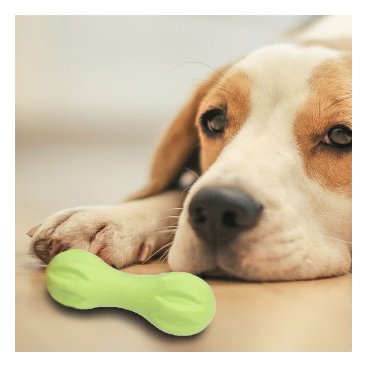 PACK4 JUGUETE PARA PERRO MANCUERNA DE MINI RAYAS VERDE MENTA DURADERO - 5