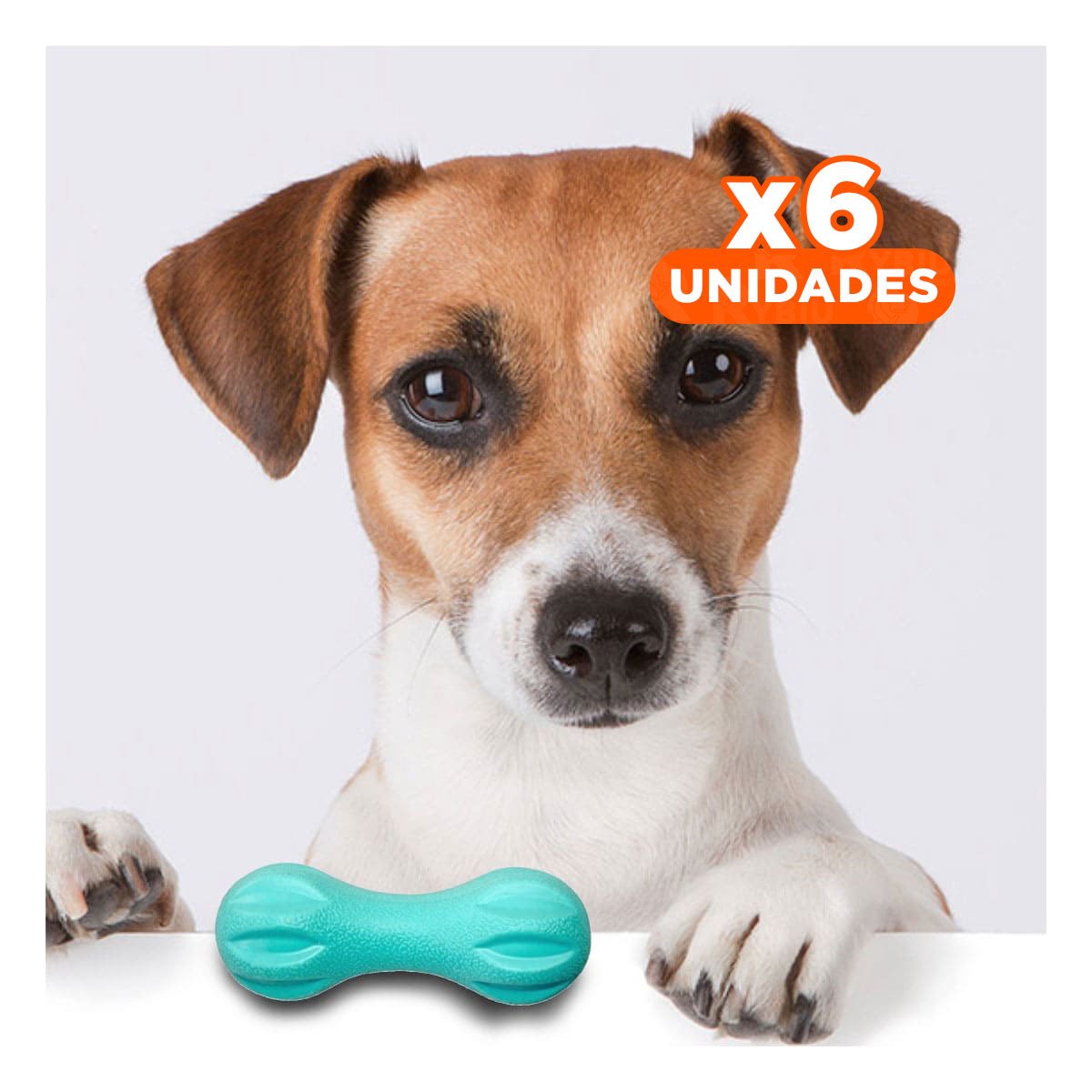 PACK6 PRODUCTO PARA MASCOTA MANCUERNA DE MINI RAYAS VERDE MENTA FUERTE Y+REGALO STICKER - 1