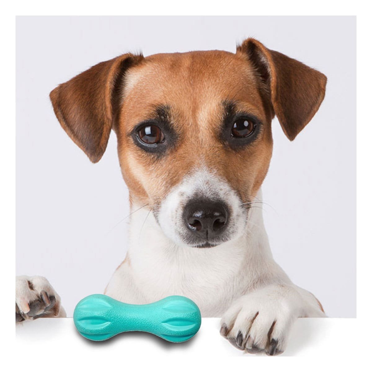 PACK6 PRODUCTO PARA MASCOTA MANCUERNA DE MINI RAYAS VERDE MENTA FUERTE Y+REGALO STICKER - 5