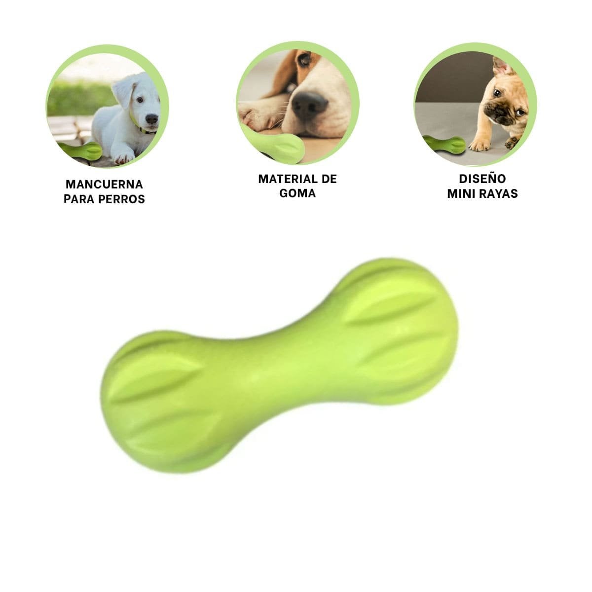 PELOTA MANCUERNA DE MINI RAYAS VERDE MENTA PARA PERRO JUGUETON - 3
