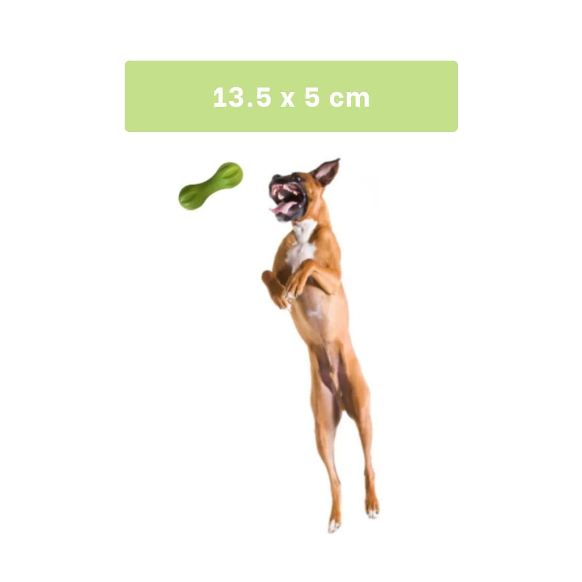 PACK4 ARTICULO PARA PERRO MANCUERNA DE MINI RAYAS VERDE MENTA ACTIVO Y+REGALO STICKER - 4