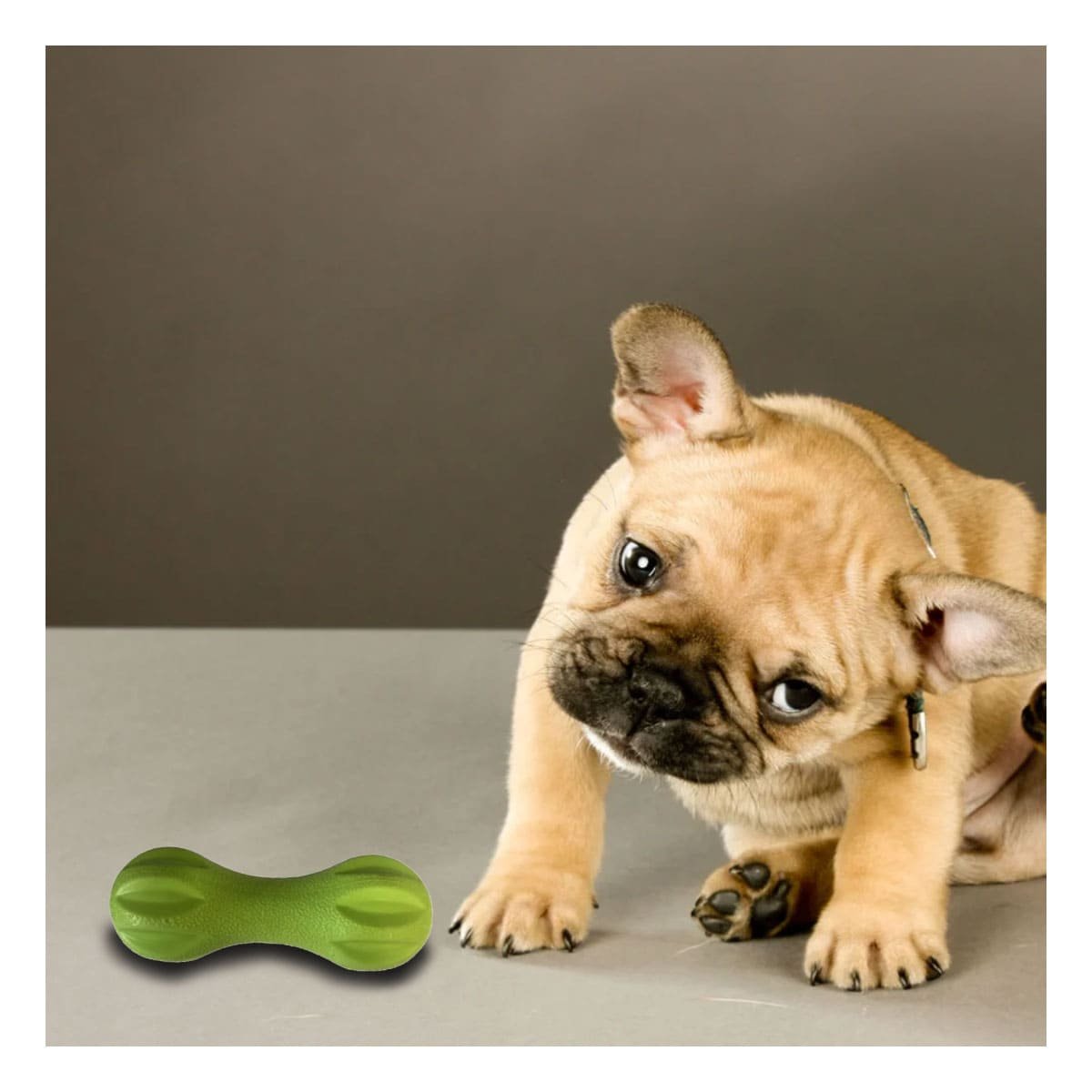 PACK4 MORDEDOR PARA MASCOTA MANCUERNA DE MINI RAYAS VERDE MENTA FIRME Y+PAPEL REGALO - 5