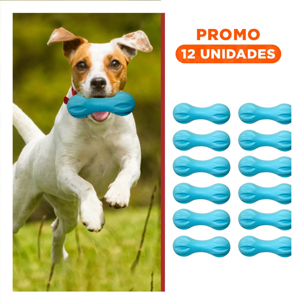PACK12 ACCESORIO DURABLE MANCUERNA DE MINI RAYAS CELESTE PARA PERRO Y+REGALO STICKER - 1