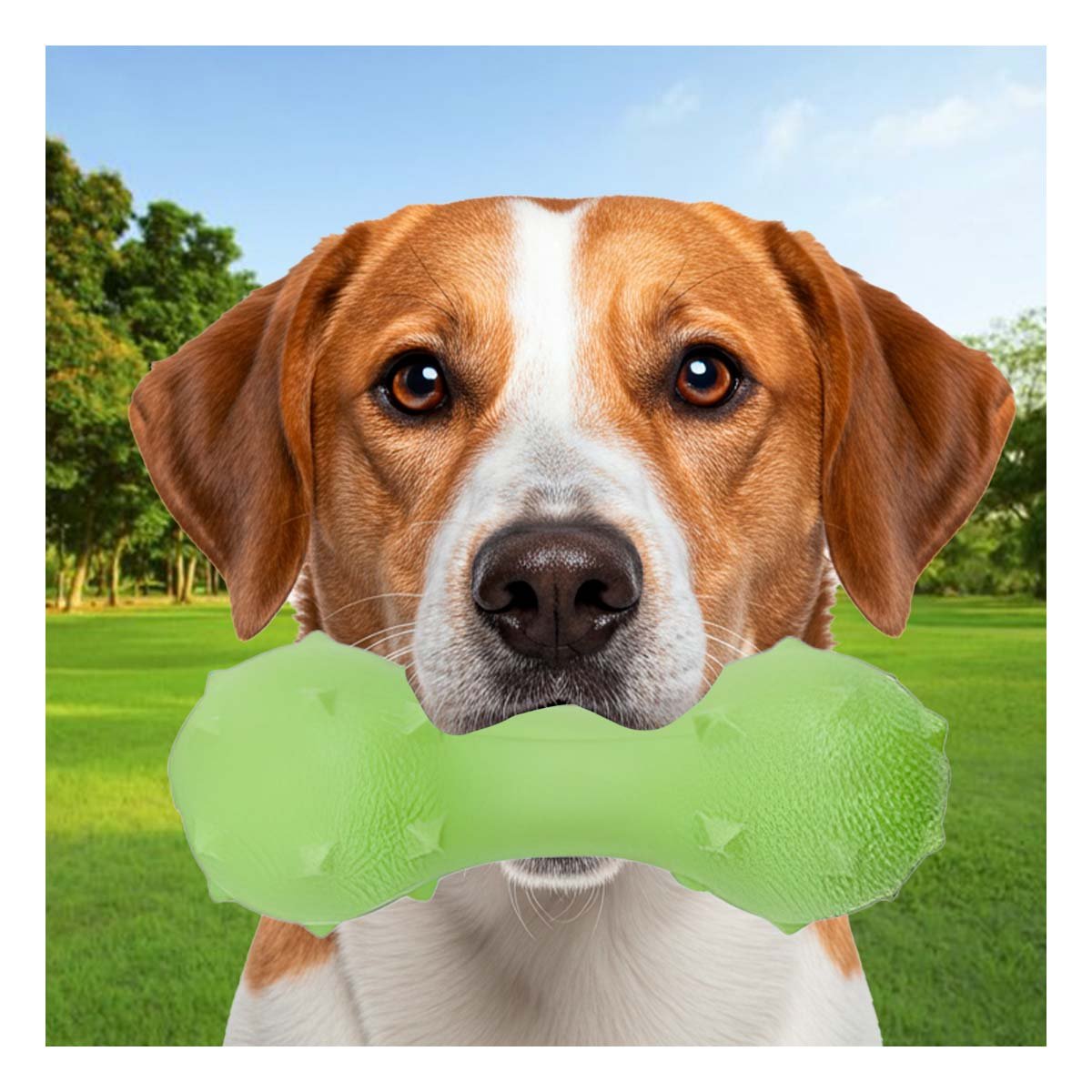 PACK12 OBJETO PARA MASCOTA MANCUERNA DE PUAS VERDE MENTA SEGURO Y+PAPEL REGALO - 5