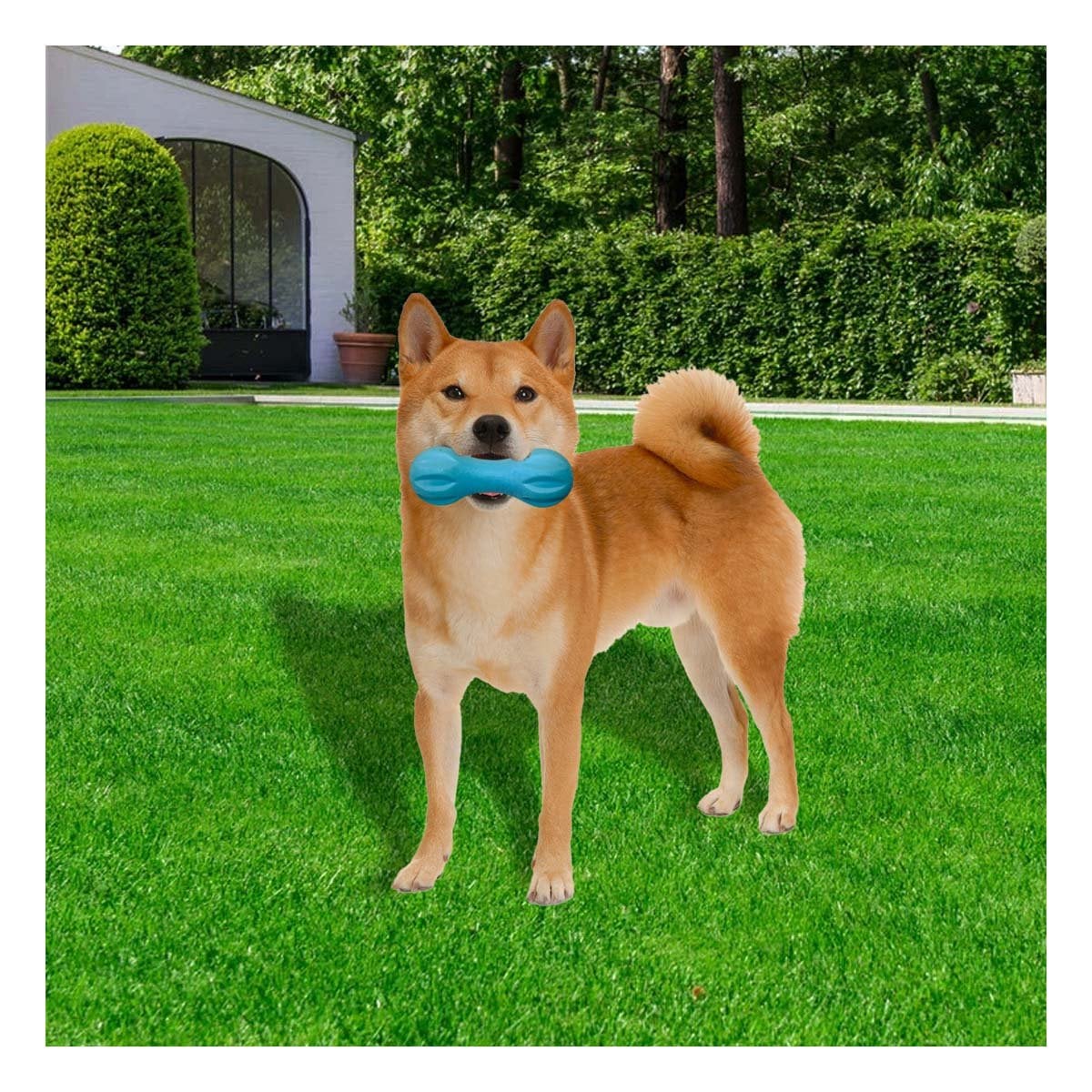 HERRAMIENTA MANCUERNA DE MINI RAYAS CELESTE PARA MASCOTA DINAMICA Y+LIGAS REGALO - 2