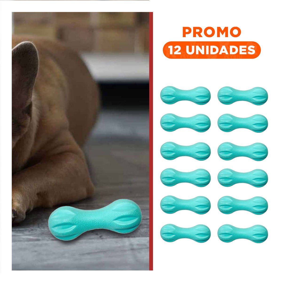 PACK12 ACCESORIO DURABLE MANCUERNA DE MINI RAYAS VERDE MENTA PERRO Y+REGALO STICKER - 1