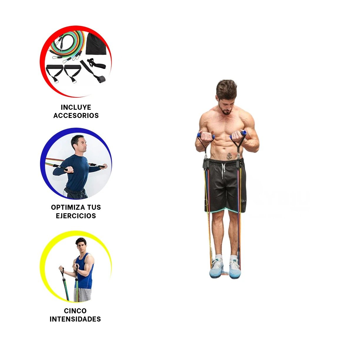 ELASTICAS PARA YOGA FLEXIBILIDAD Y TONIFICACION MUSCULAR YOGA - 3