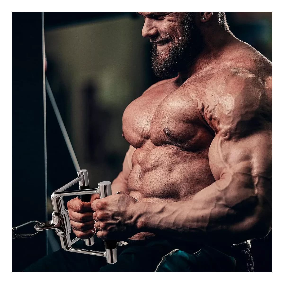 AGARRE POLEA 360 GRADOS PLATEADO PARA RUTINAS DE MUSCULOS Y ENTRENAMIENTO DIARIO - 2