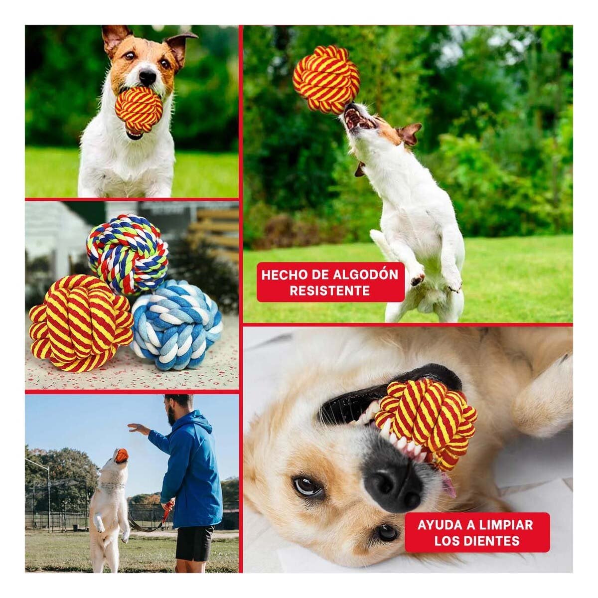 PACK6 ACCESORIO DURADERO AMARILLO ANARANJADO PARA PERROS Y+PAPEL REGALO - 3