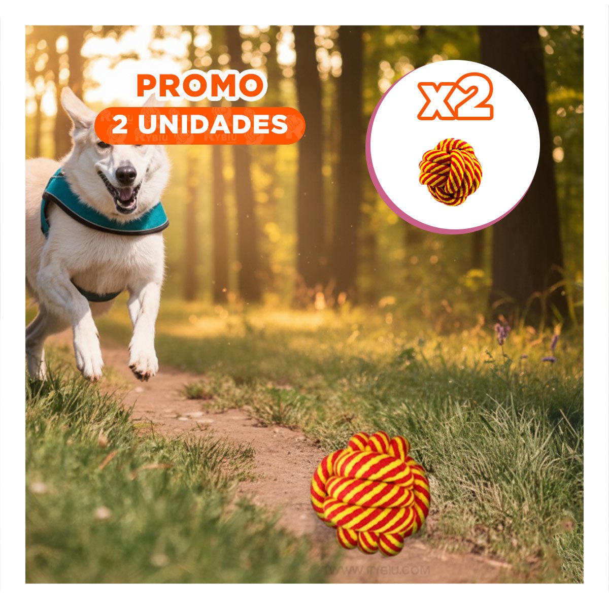 PACK2 COMPLEMENTO FLEXIBLE AMARILLO ANARANJADO PARA PERROS Y+REGALO STICKER - 1