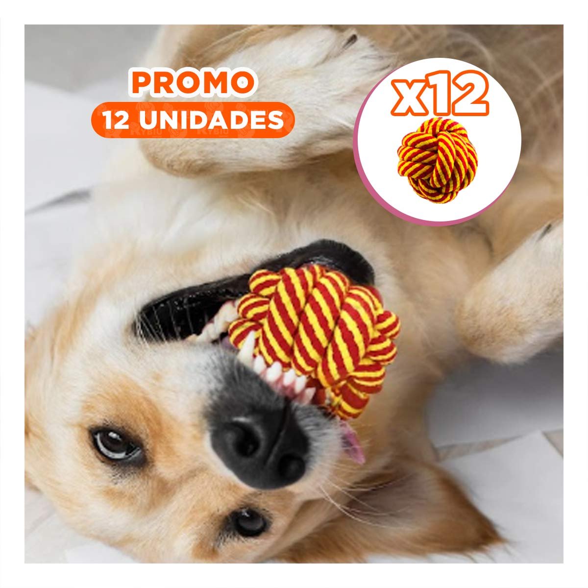 PACK12 PRODUCTO PRACTICO AMARILLO ANARANJADO PARA PERROS ACTIVOS - 1