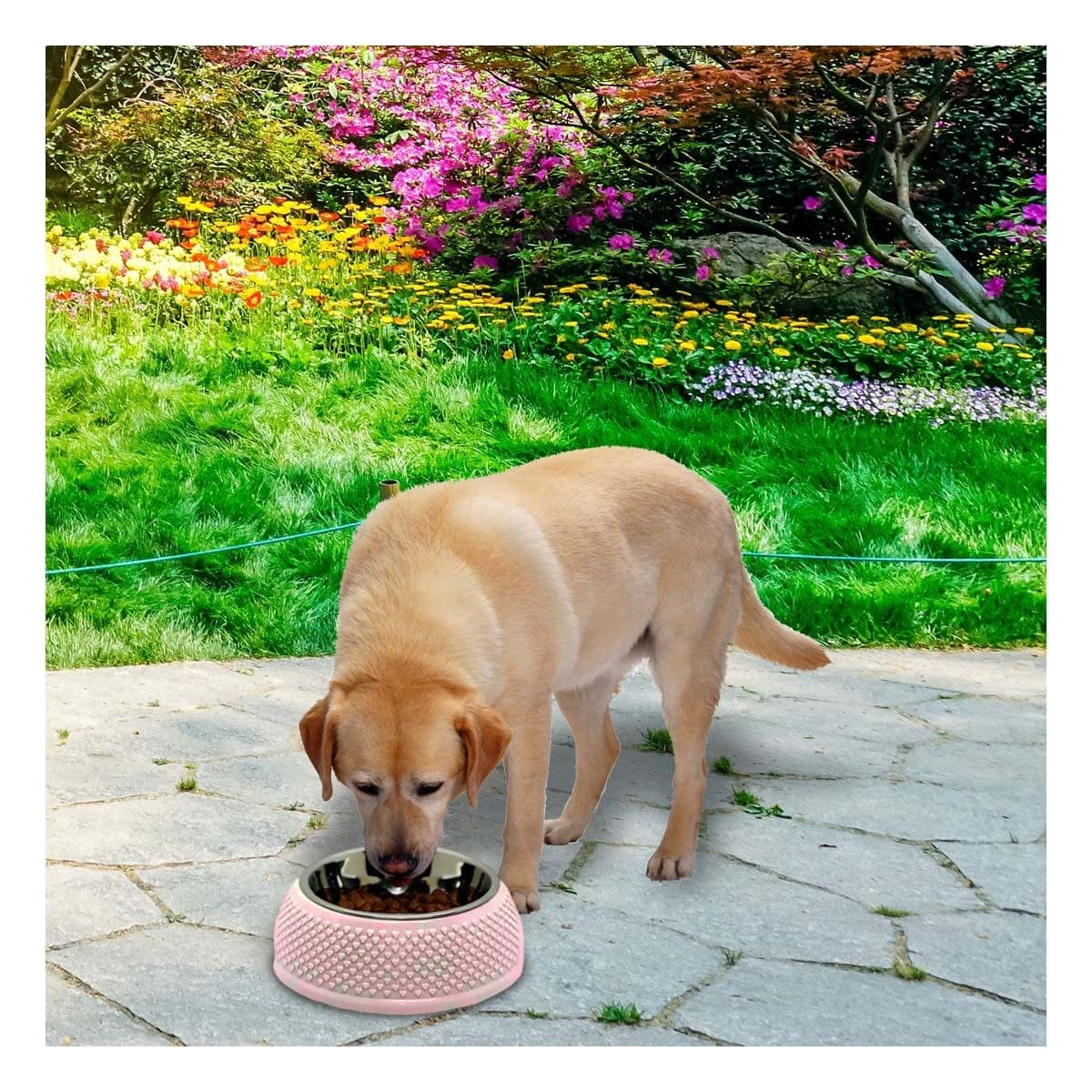 PACK4 PLATO ROSADO PASTEL DESMONTABLE DE ACERO CON CORAZONES EN RELIEVE COMODO Y+PAPEL REGALO - 5