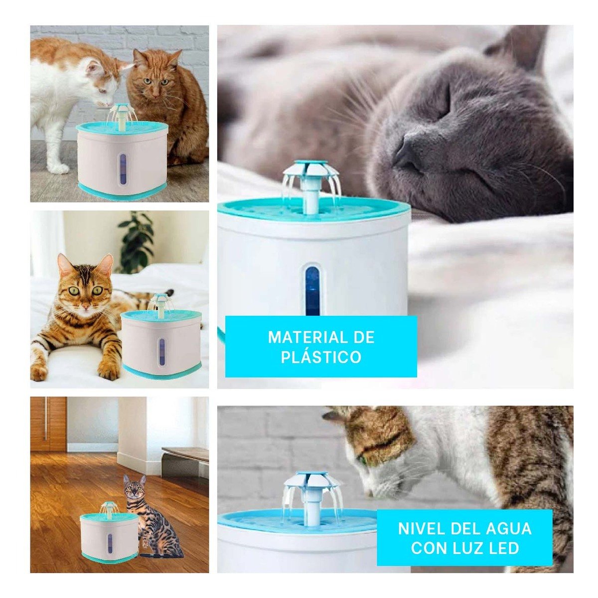 PACK4 MANANTIAL DE AMOR PET CELESTE PARA LA TRANQUILIDAD DE SUS PADRES Y+REGALO STICKER - 2