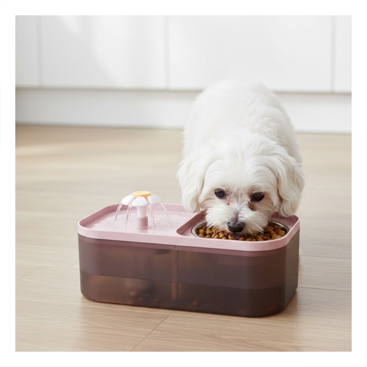 PACK4 FUENTE DOBLE RECTANGULAR PET ROSADO PARA UN ESTILO MUY ACTIVO Y+PAPEL REGALO - 2