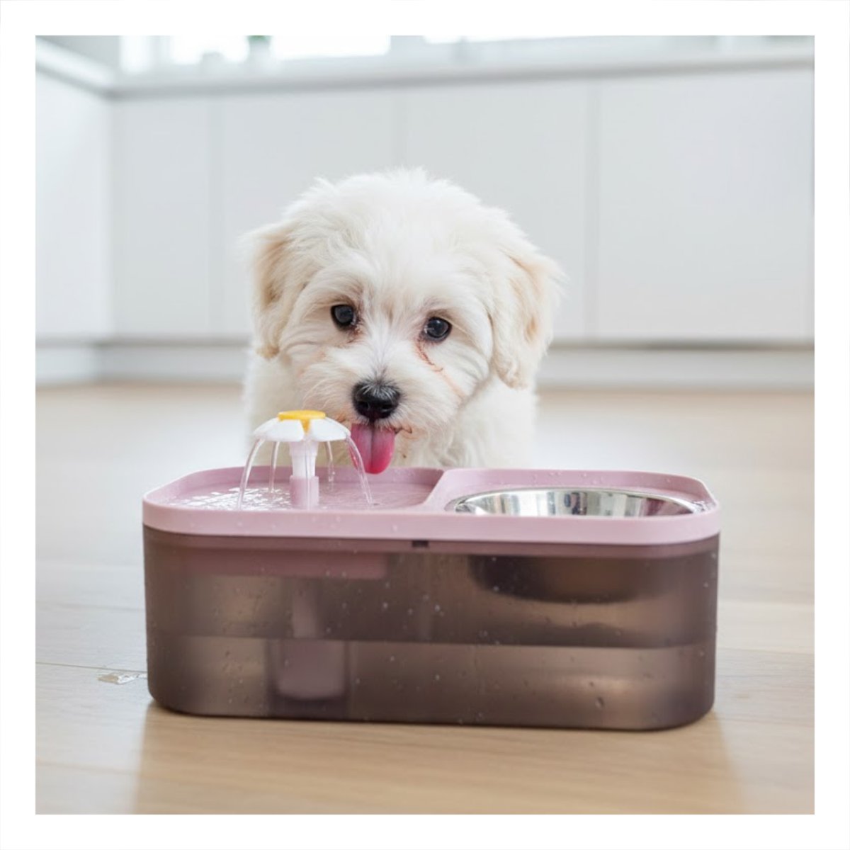 PACK4 FUENTE DOBLE RECTANGULAR PET ROSADO PARA UN ESTILO MUY ACTIVO Y+PAPEL REGALO - 5