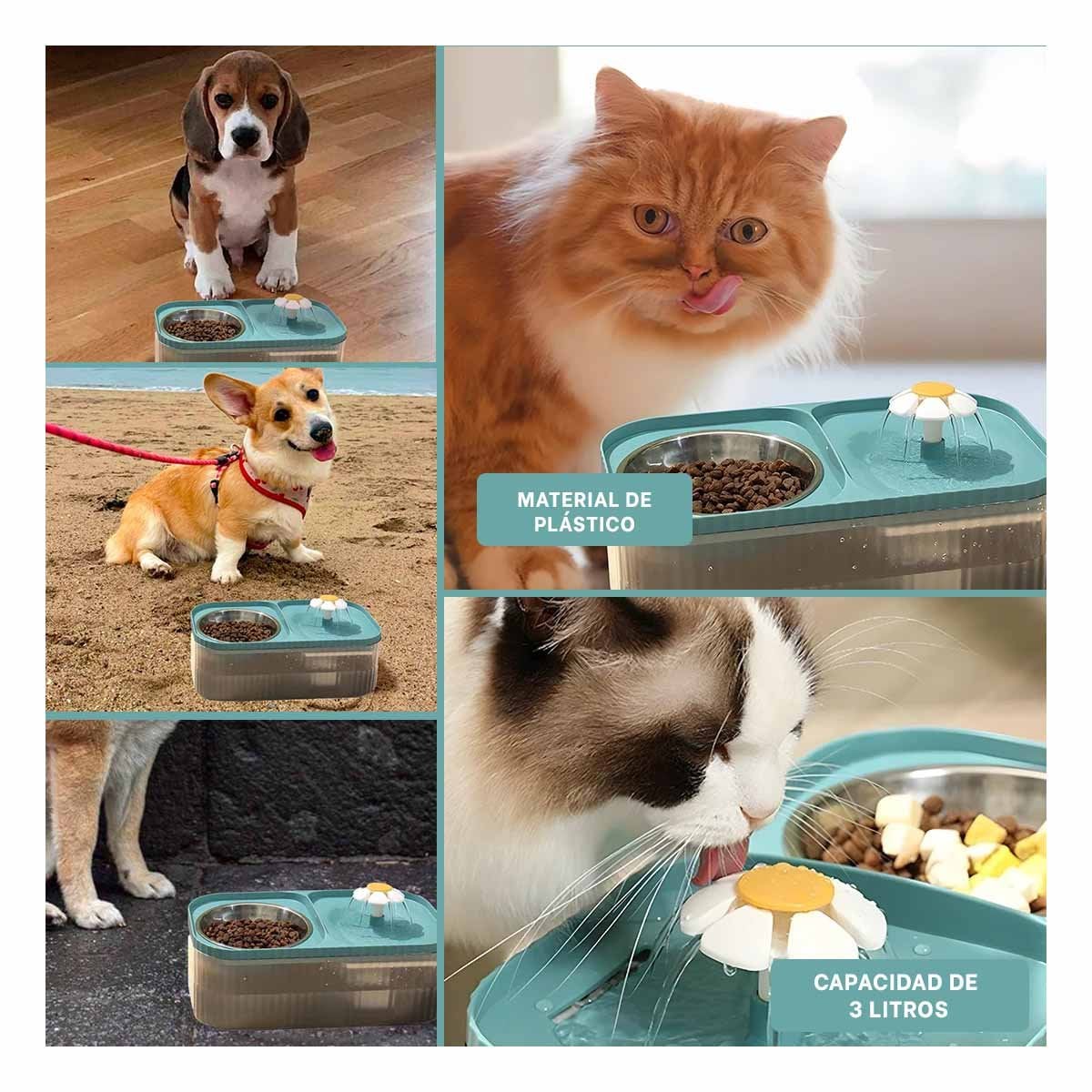 PACK2 FUENTE DOBLE RECTANGULAR PET CELESTE DE APLICACION MUY UTIL Y+PAPEL REGALO - 3