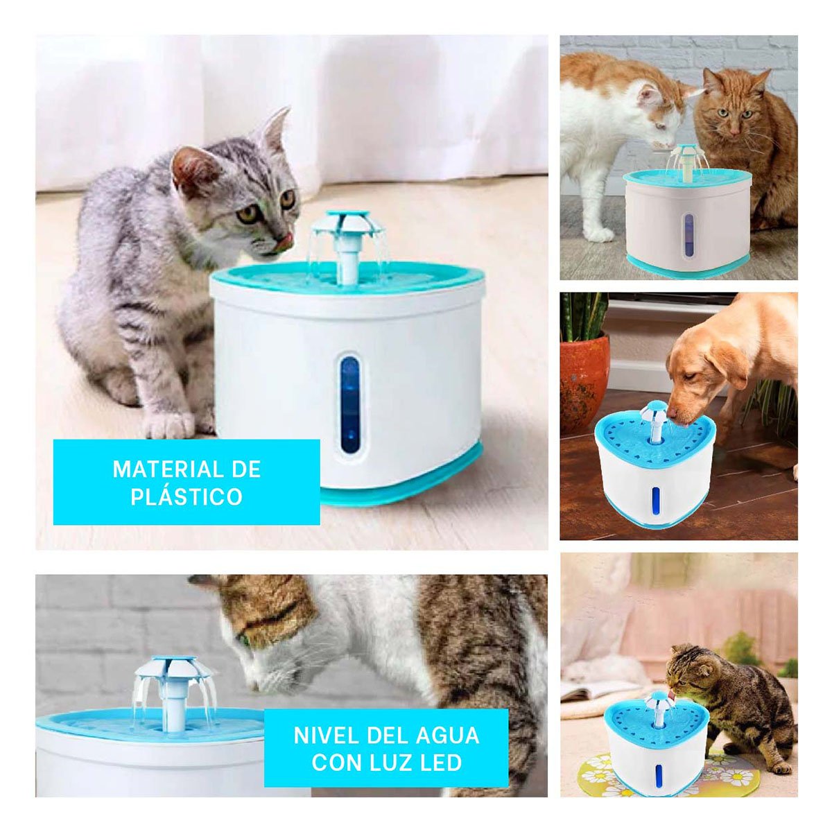 PACK2 FUENTE DE AGUA CORAZON PET CELESTE DE PLASTICO MUY UTIL Y+PAPEL REGALO - 3